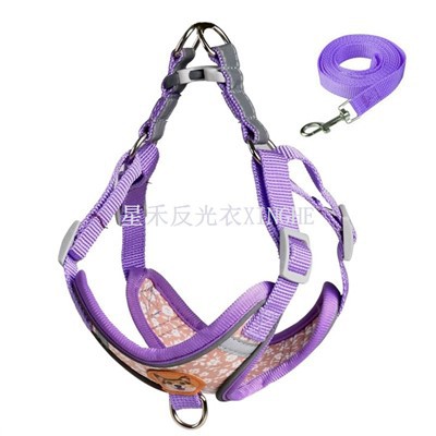 Безпечний світловідбиваючий ремінь собака